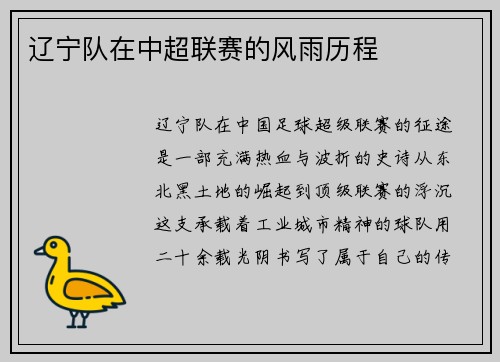 辽宁队在中超联赛的风雨历程